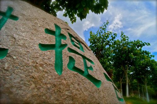 DSC02439 (FILEminimizer)